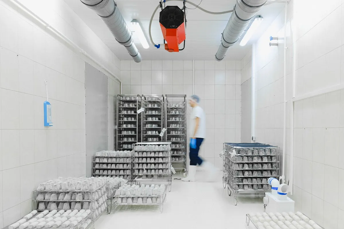 Interior de una cámara frigorífica con producto almacenado y personal trabajando