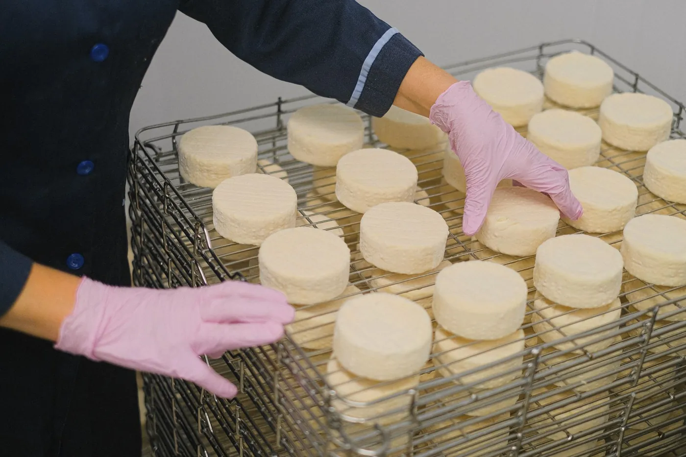 Control de calidad en una fábrica europea de productos lácteos