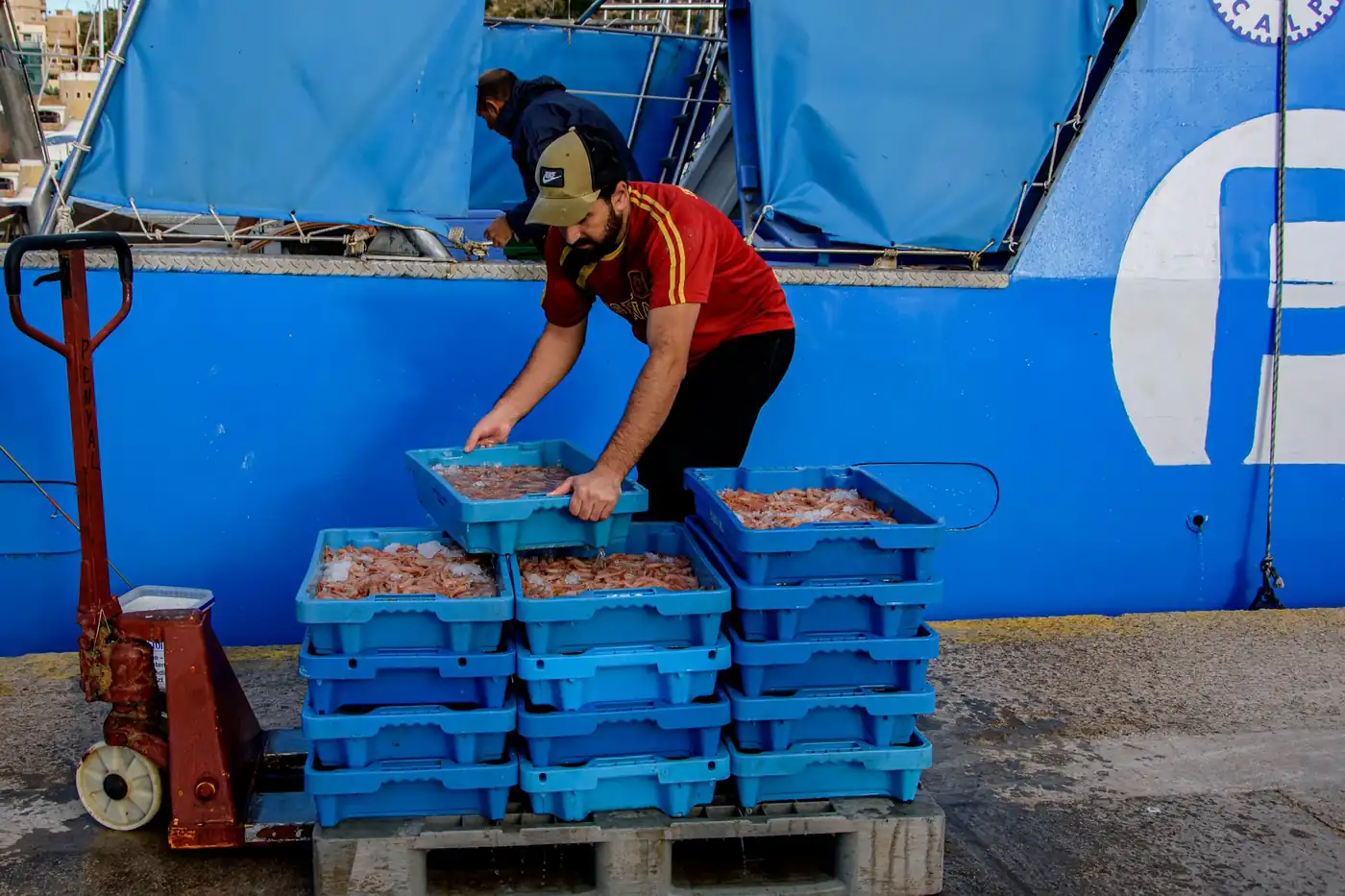 Marisco para el suministro de restaurantes